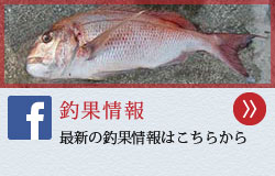 釣果情報