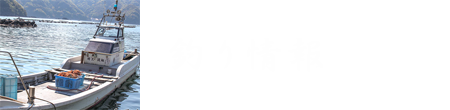 釣り情報